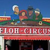 Der Flohzirkus auf der Wiesn